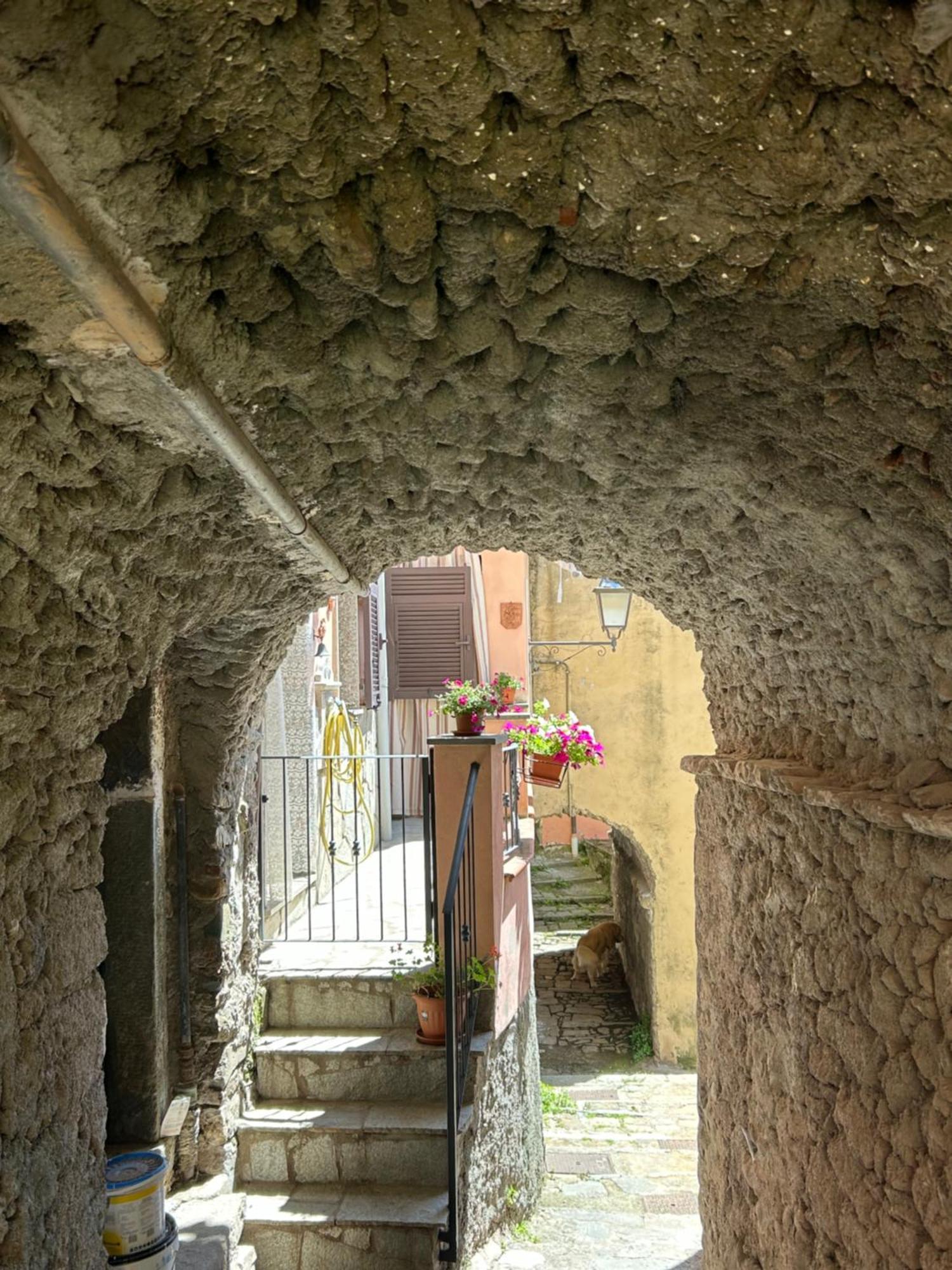 Apartamento Ca De Igiu-Biassa-Cinque Terre Exterior foto